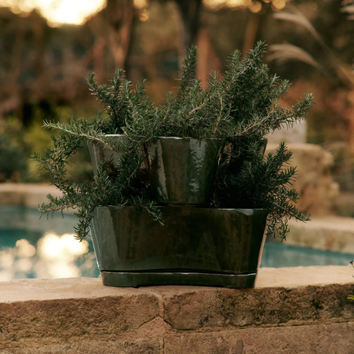 Plant Pots